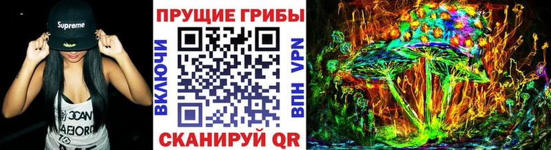 Псилоцибиновые грибы Psilocybe Донецк